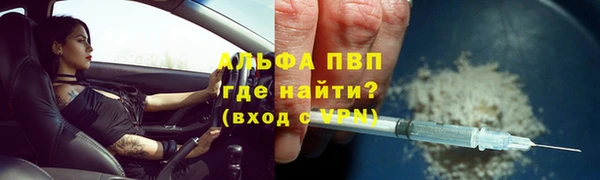 СК Дмитров