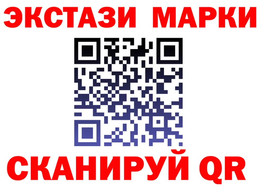 A PVP СК КРИС ТОР площадка MEGA Галич
